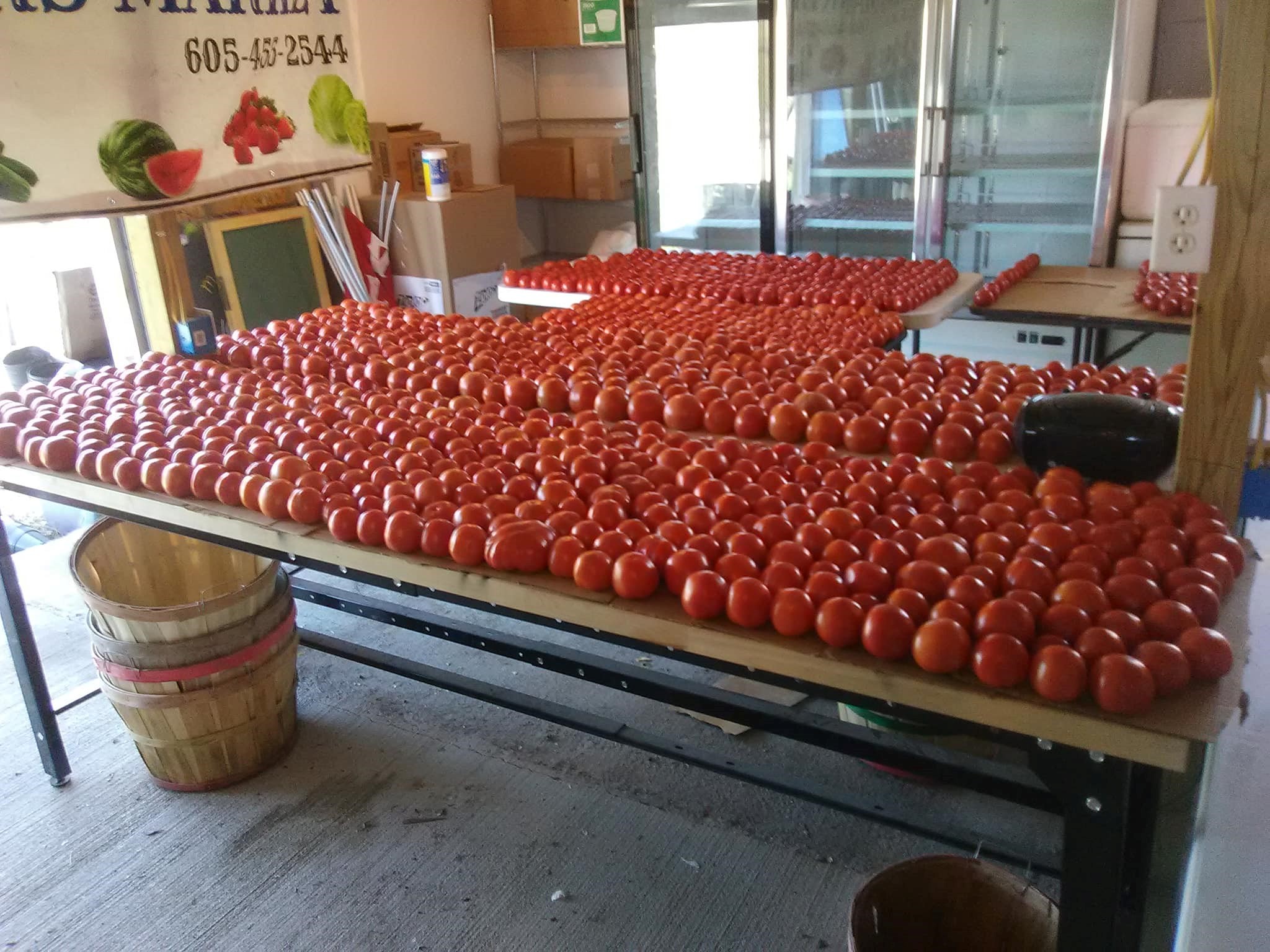 tomatoes