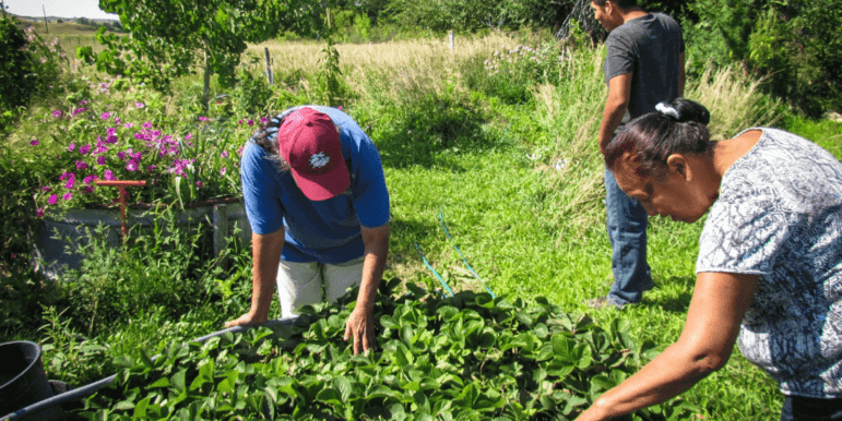Growing season starts for one of the oldest Native gardening projects in the country