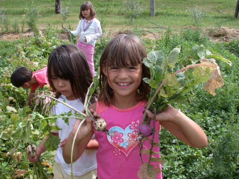 Our many garden project aid to help native american youth enjoy proper nutrition.
