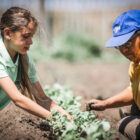 We are working together to ensure that through our programs, access to food is more accessible.