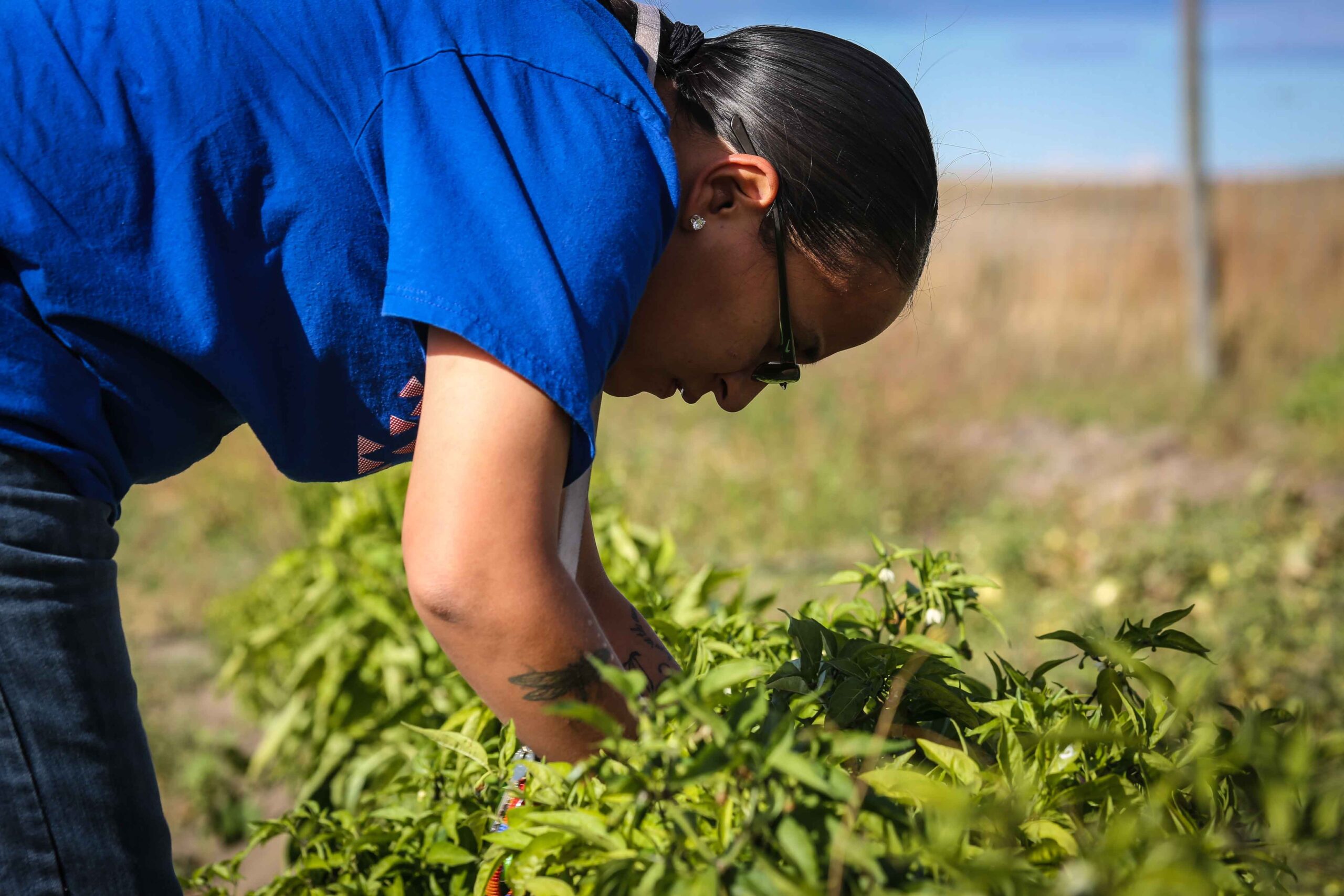 A woman harvests fresh produce from a community garden, supporting the food sovereignty and security program.