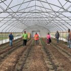 Medicine Root Garden partipants in hoophouse