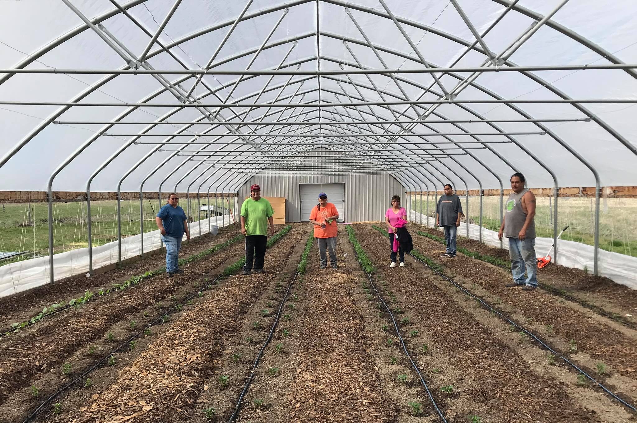Medicine Root Garden partipants in hoophouse