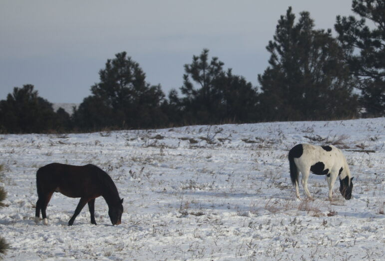 Native American donations needed for winter months