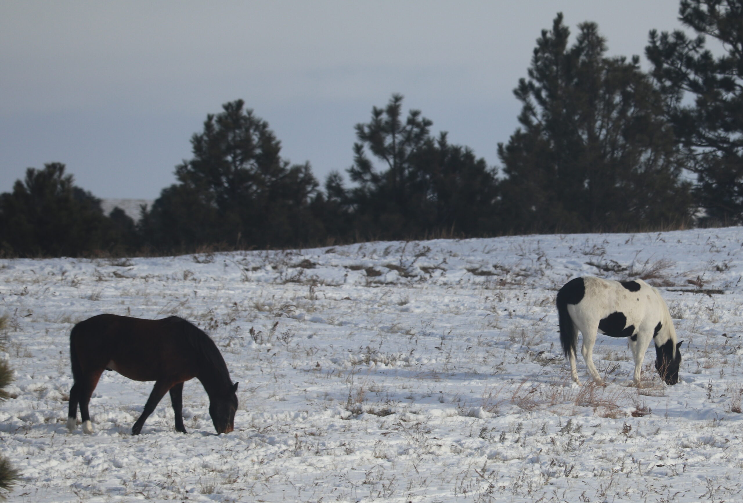 Native American donations needed for winter months