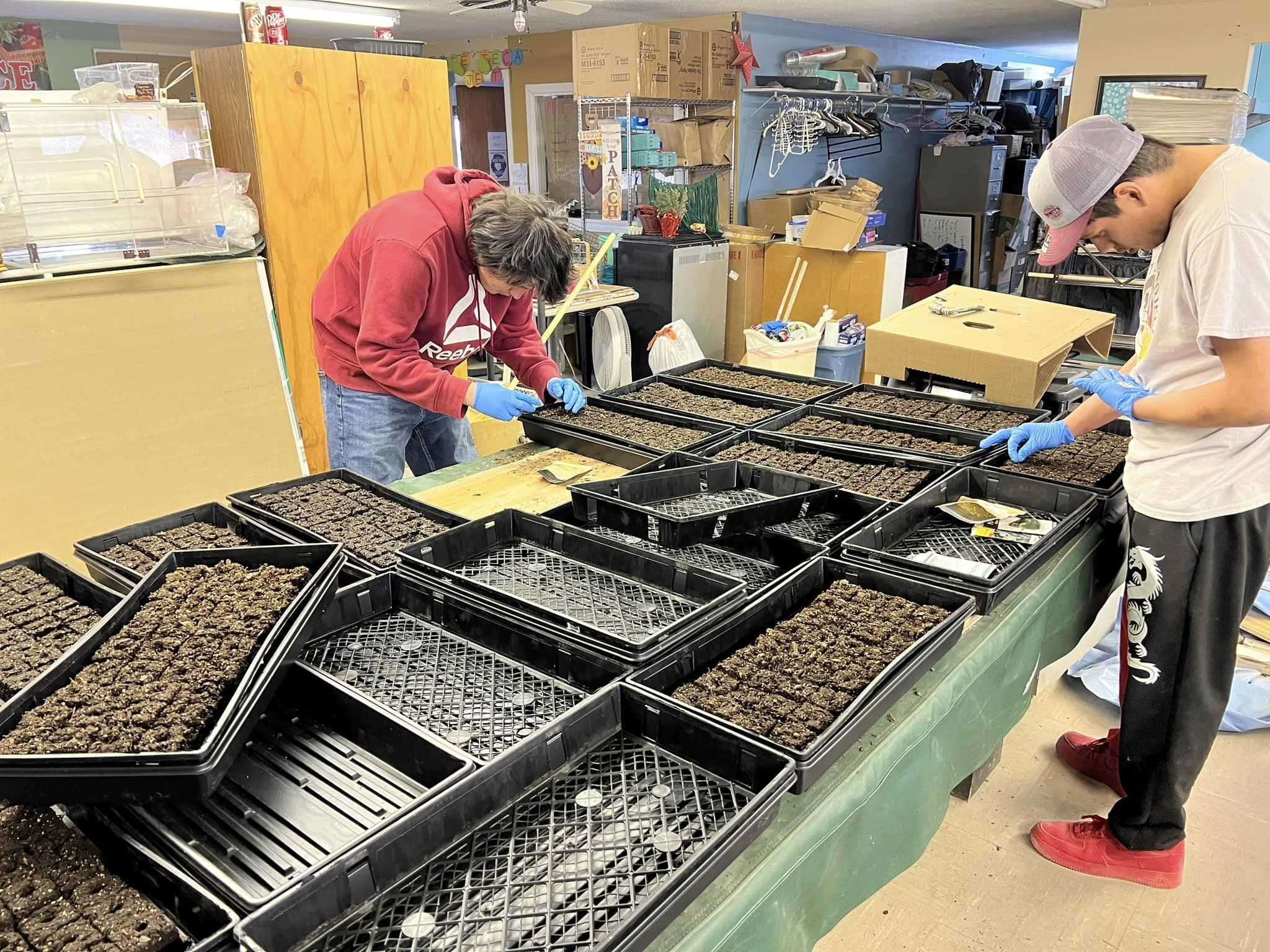Two people planting seeds in trays for the Medicine Root Garden program.