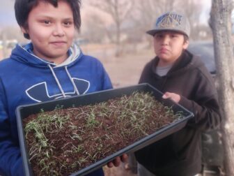 Young gardeners proudly displaying their microgreen seedlings