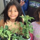 Children holding vegetable seedlings from Slim Buttes Agricultural Development program on Pine Ridge Reservation