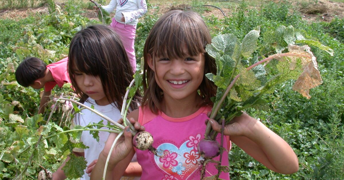 Our many garden project aid to help native american youth enjoy proper nutrition.