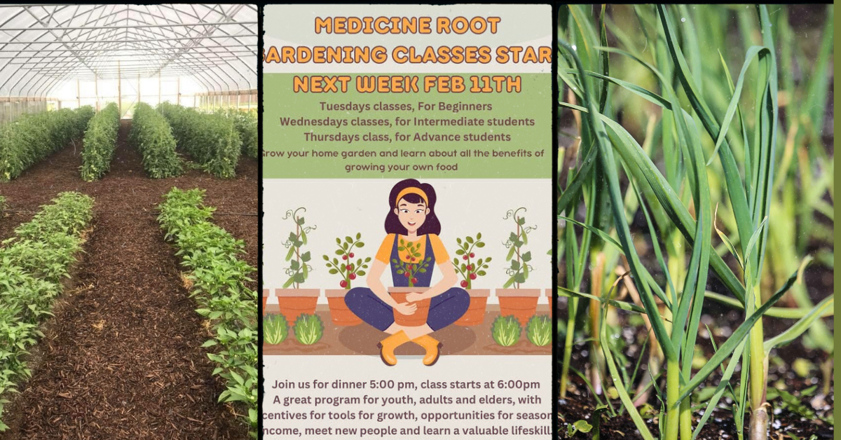 2025 Medicine Root Blog Cover