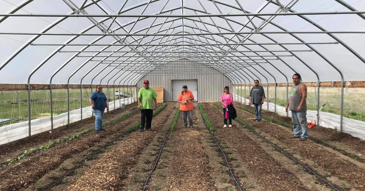 Medicine Root Garden partipants in hoophouse