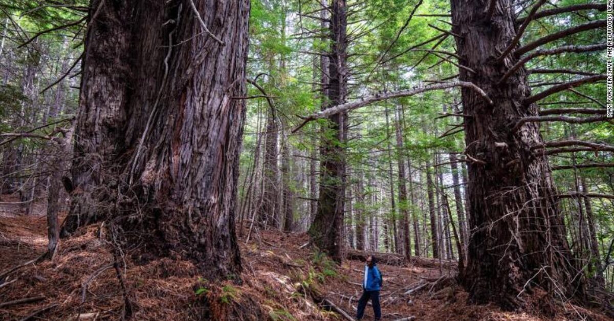 February  , 2022, | News You Can Use From Indian Country For This Week