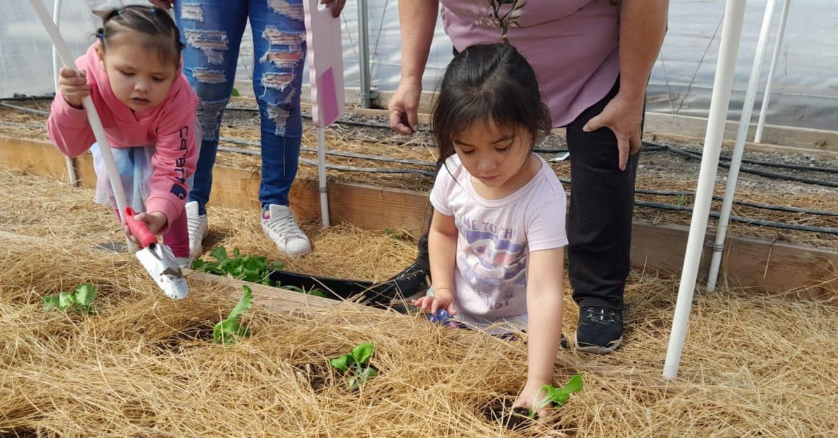 Children planting seedlings in a greenhouse at a Pine Ridge community garden.