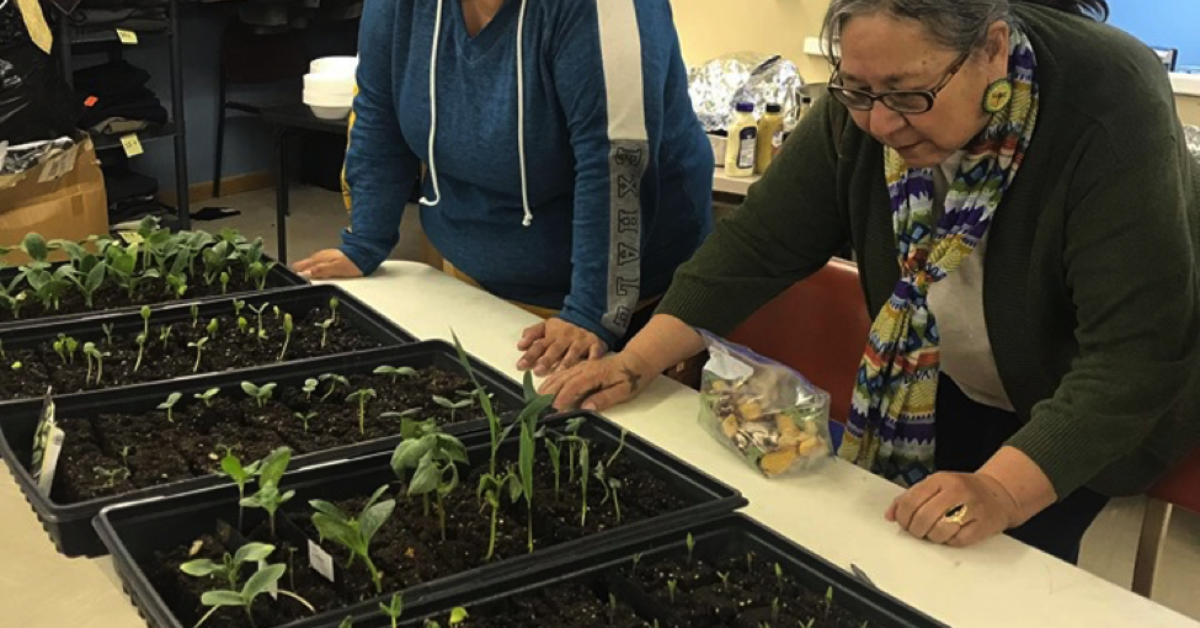 OTP_class_with_sprouts