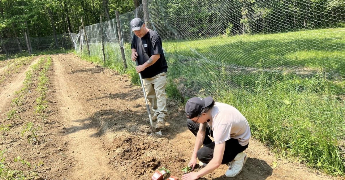 Two individuals planting crops in a community garden, part of Noah Proctor’s 2023 Dreamstarter project supporting food sovereignty for Native communities.