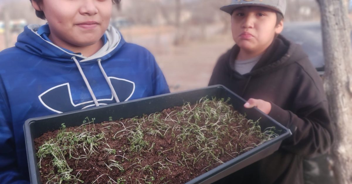 Young gardeners proudly displaying their microgreen seedlings