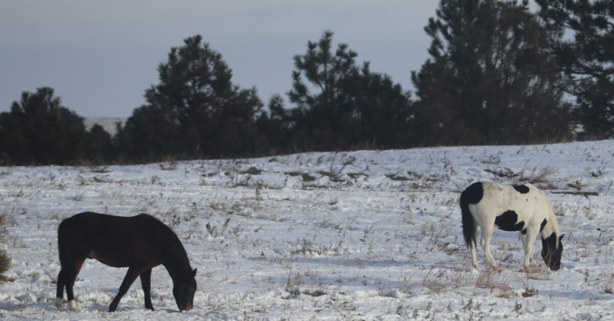 Native American donations needed for winter months