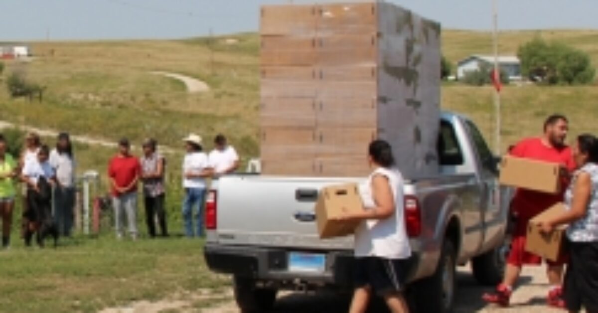 summer-food_243_135_s_c1