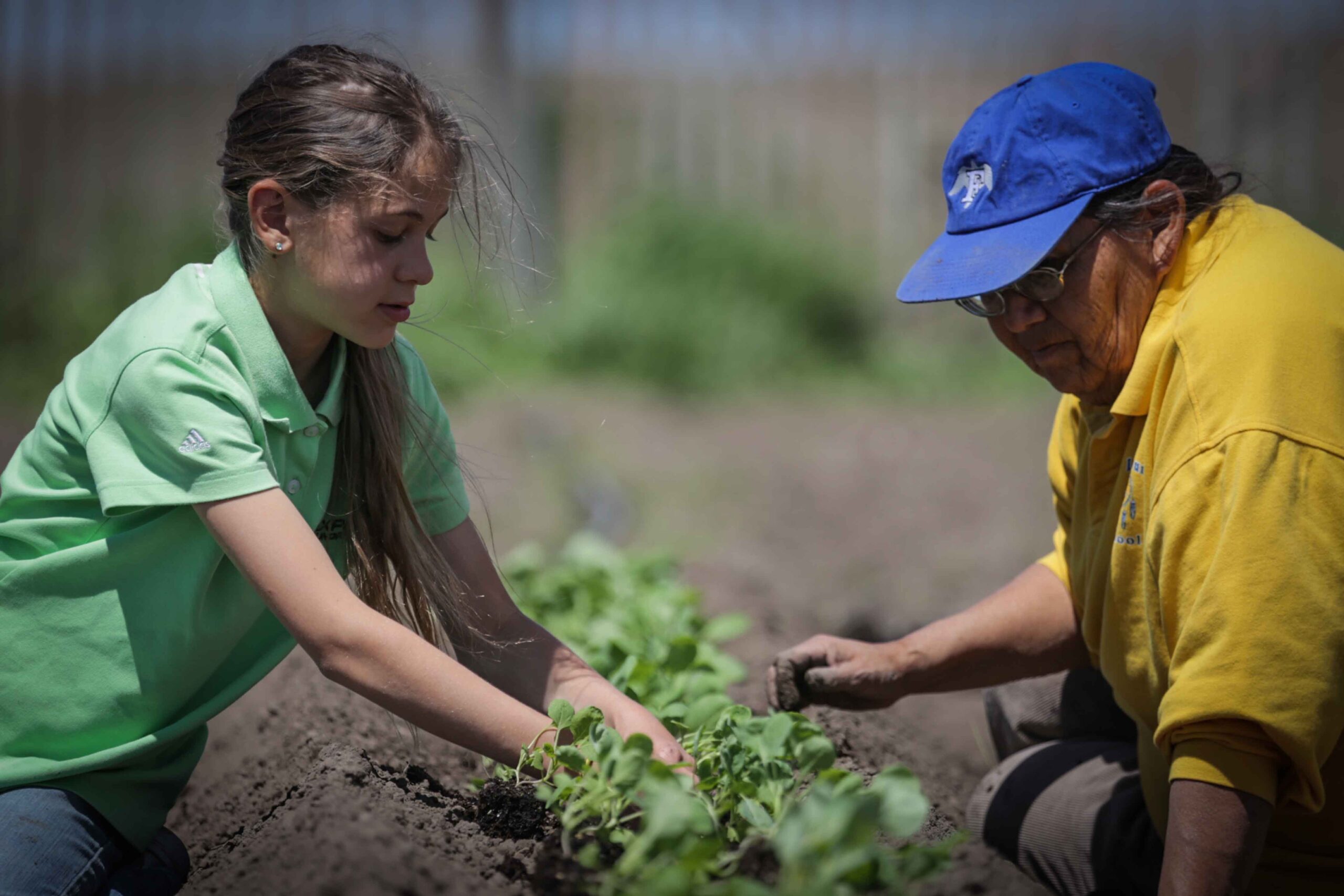 Young girl and elder planting seedlings together in a community garden on Pine Ridge Reservation