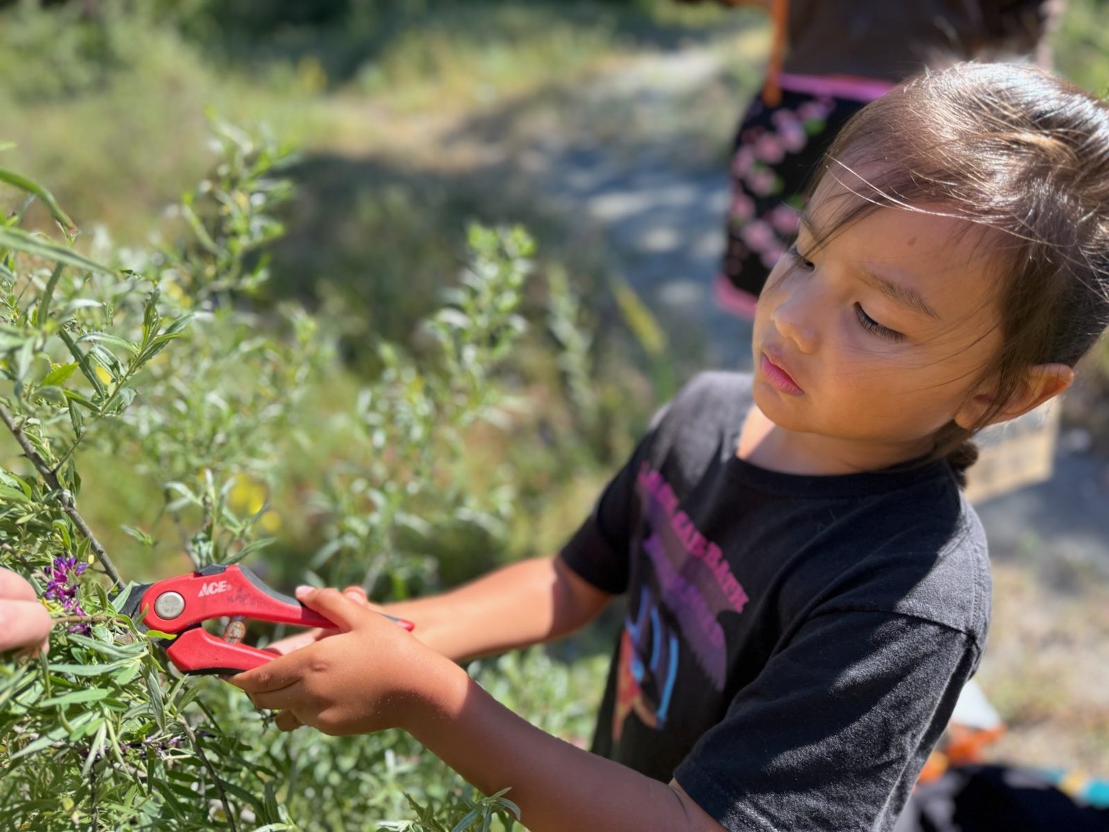 Child learning outdoors with plants during the Hupa Language Immersion Nest program