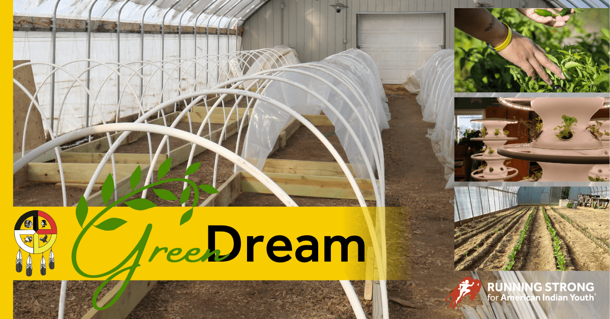 GreenDream 2022